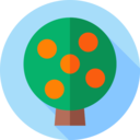 nature,tree,garden,yard,botanic,orange tree